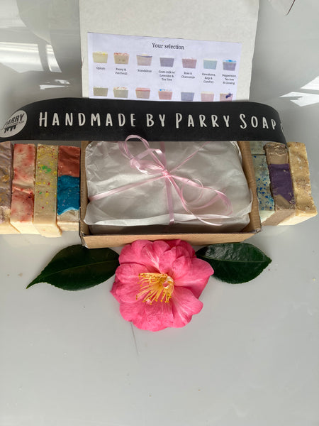 Matariki Bulk Pack